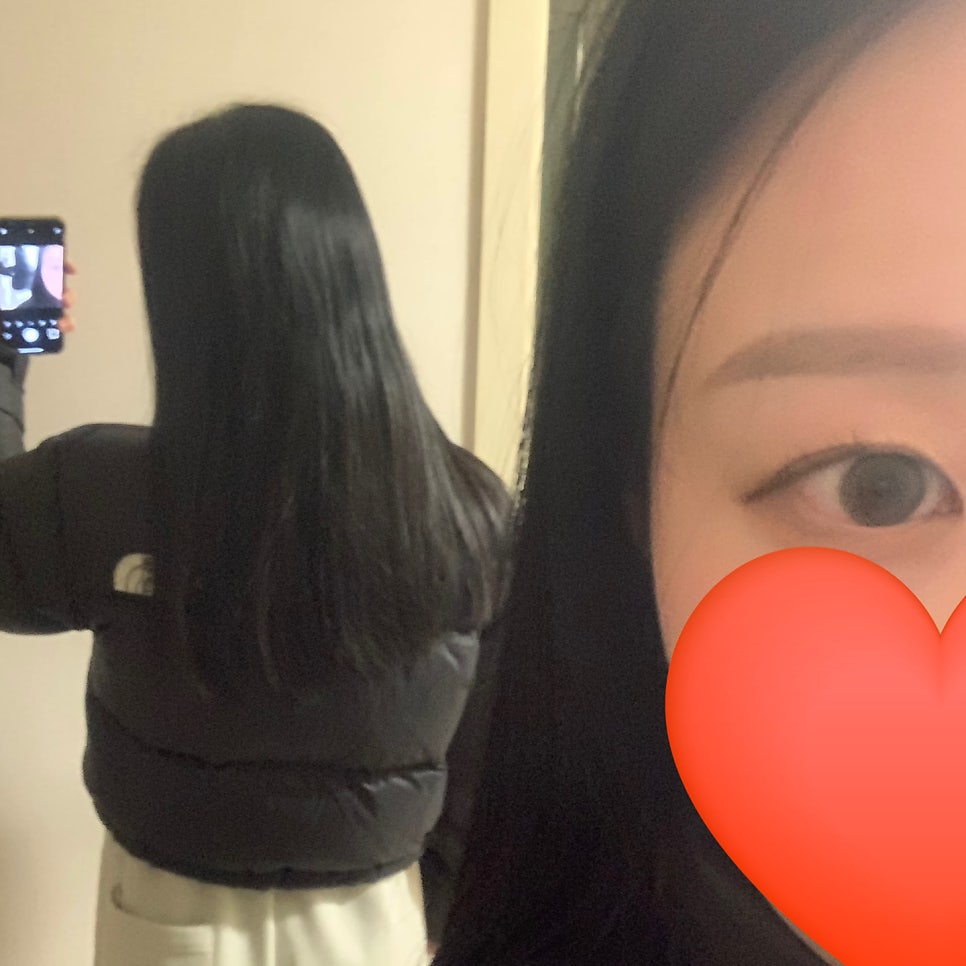 the north face nuptse short jacket back fit short length reflection mirror photo