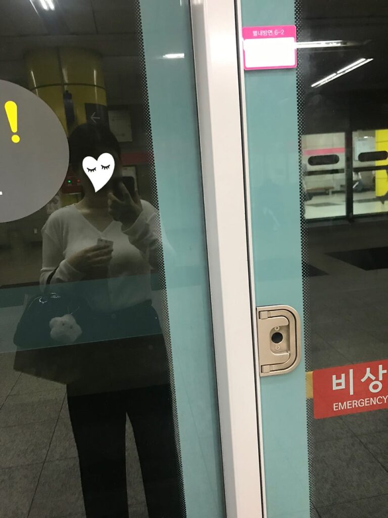 mirror selfie holding comme des garcons aoyama bag with white plush charm