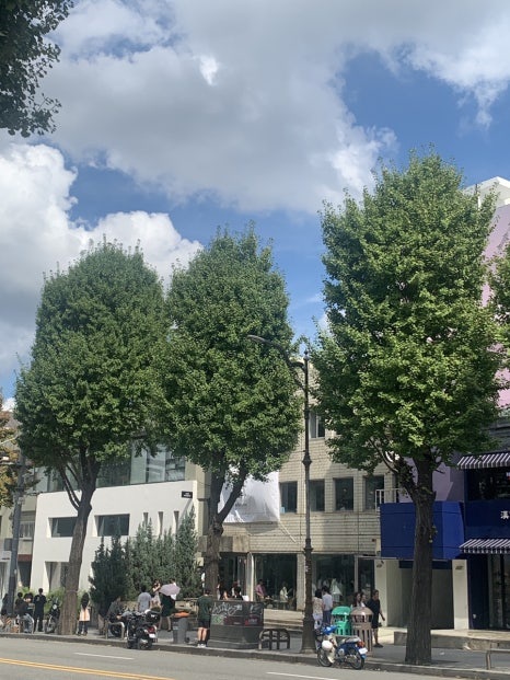 Sunny Hannam-dong street view β the perfect start to my Hannam-dong Day Out in Seoul.