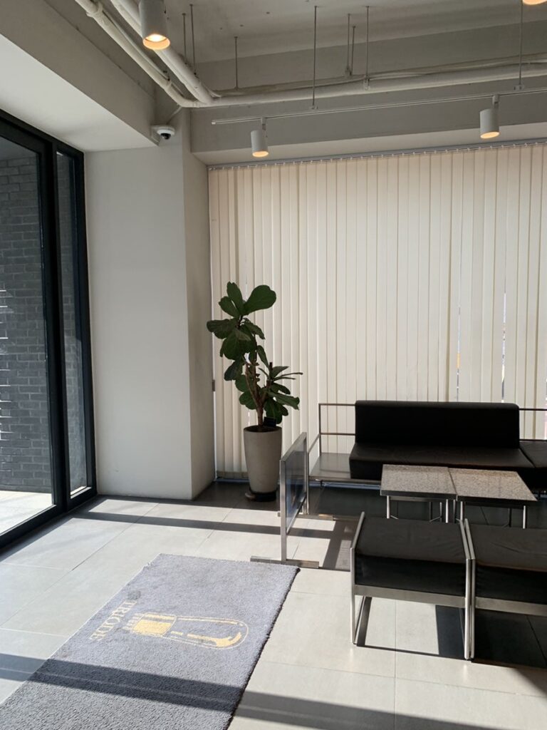 Interior of Gangnam dessert cafe TRIODE