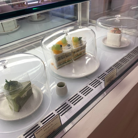 cake display counter with whole cakes under glass domes