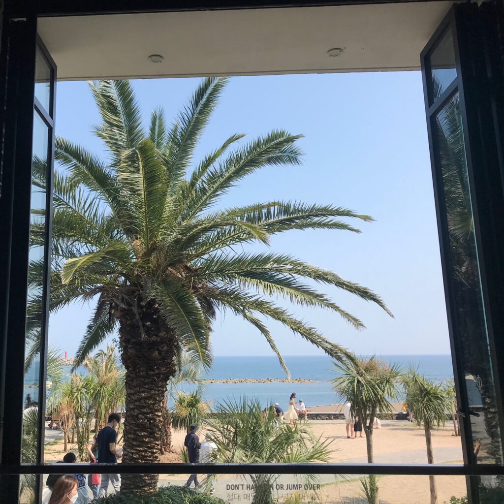 Ocean view framed by palm trees through the window at One and Only Jeju Café