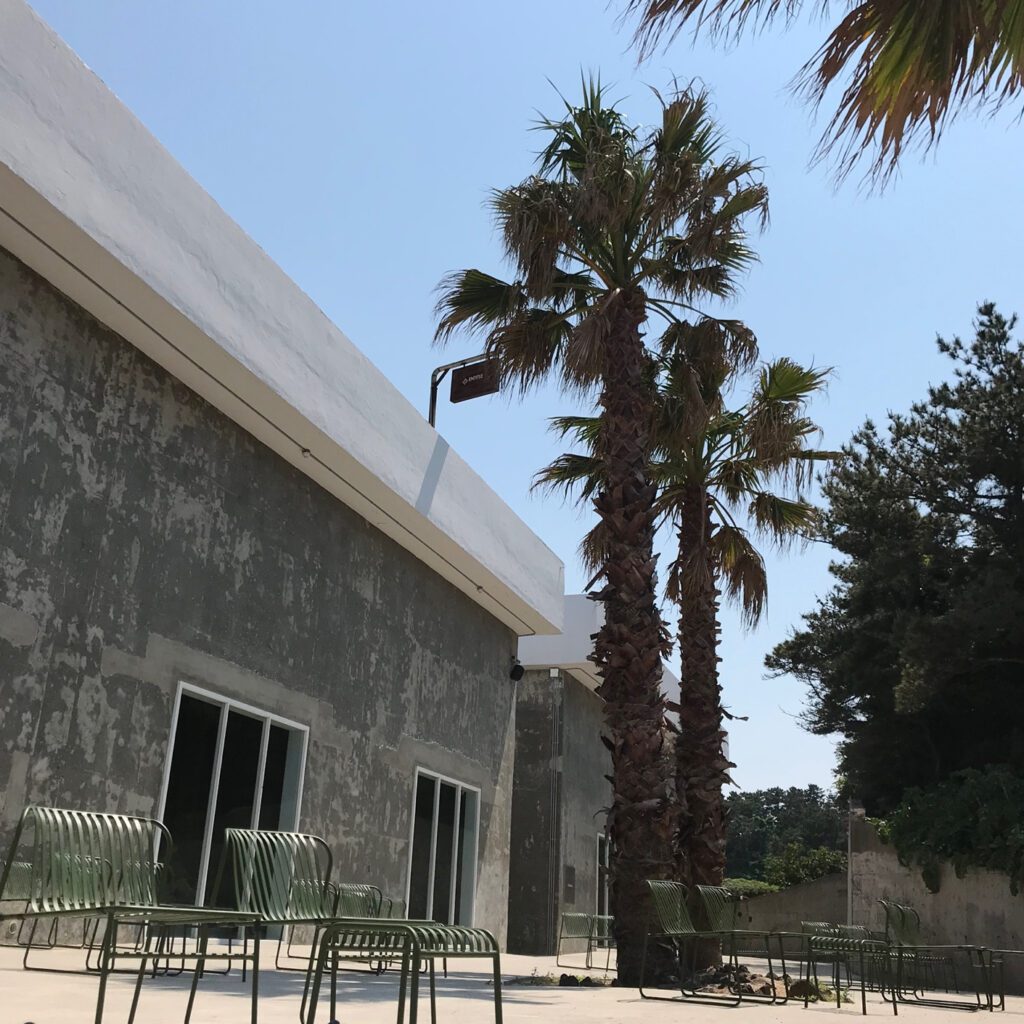 minimal concrete exterior and palm trees at Jeju Cafe Costeño outdoor seating area