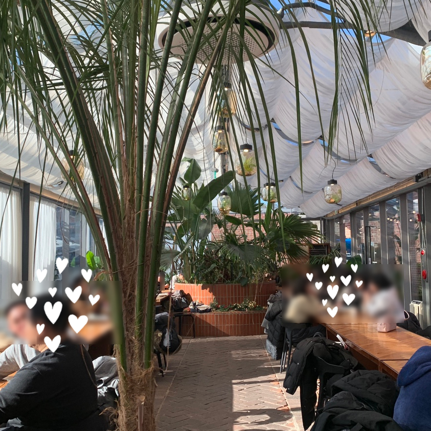 Cheonsang Gaok Seongsu Cafe greenhouse seating area with tall plants and natural light