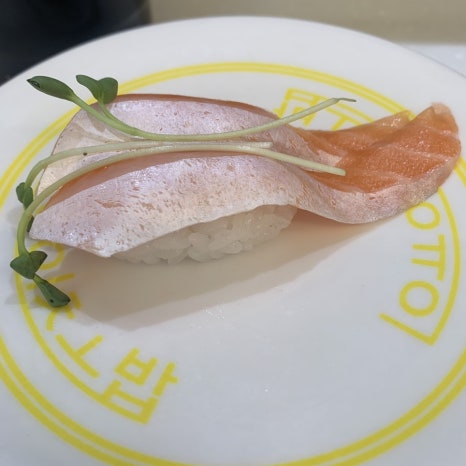fresh salmon sushi at gwangalli sushi restaurant