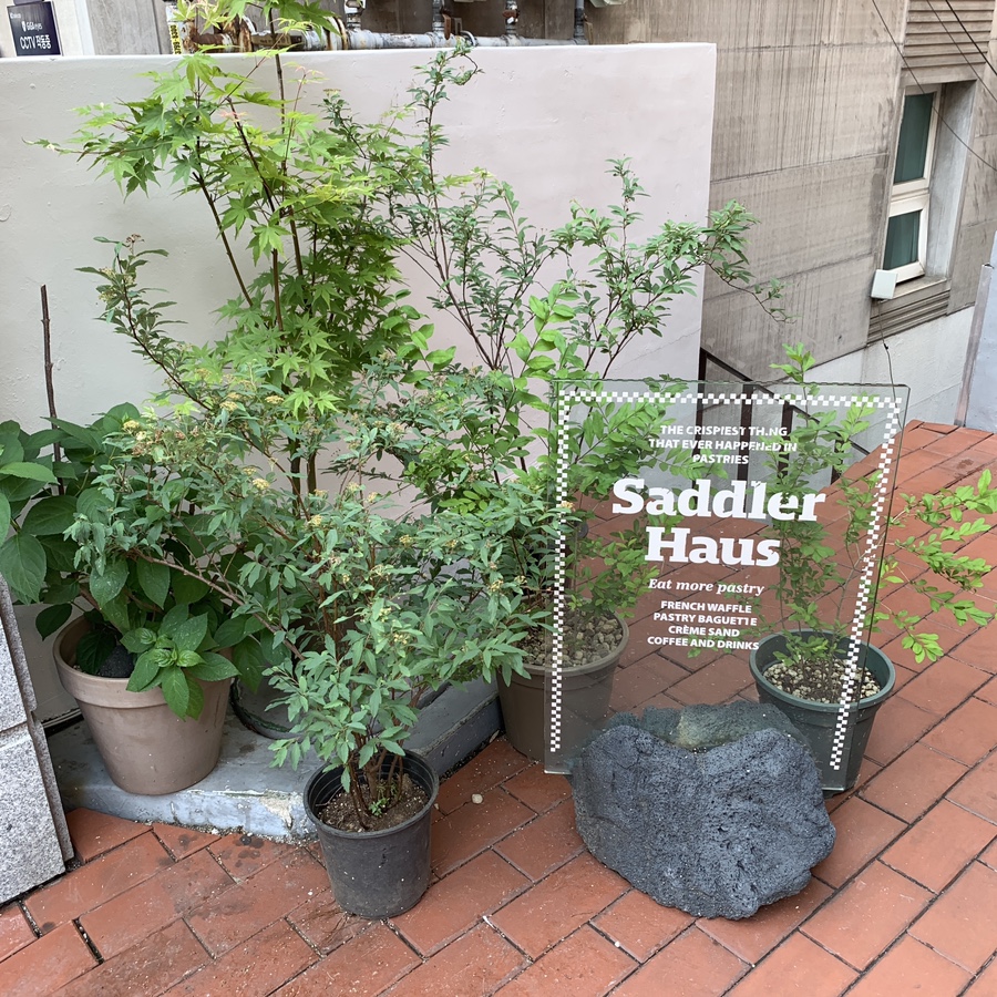 SADDLER HAUS entrance in Garosugil Seoul