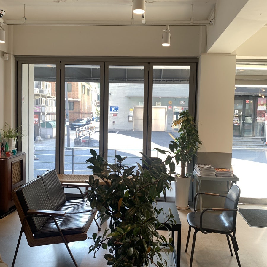 yangjae cafe wonder window seating with plants
