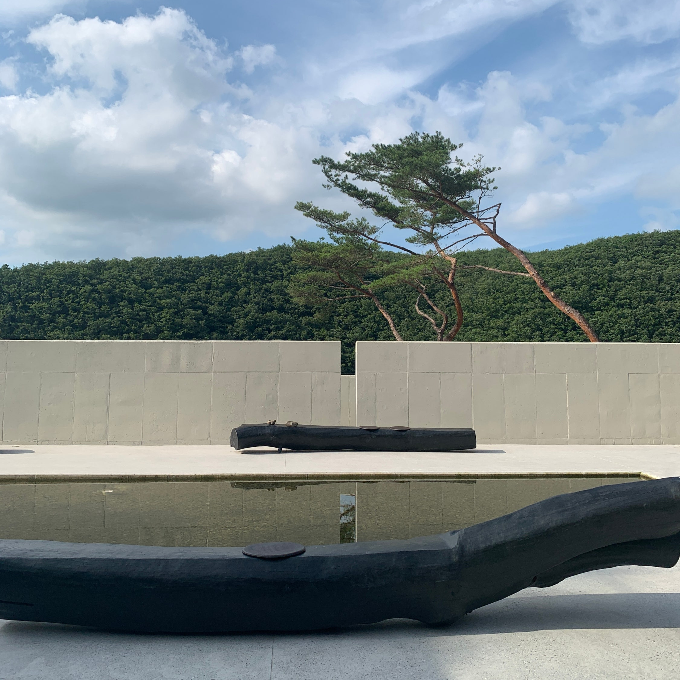 Forest view at Mukri459 Ulsan large cafe