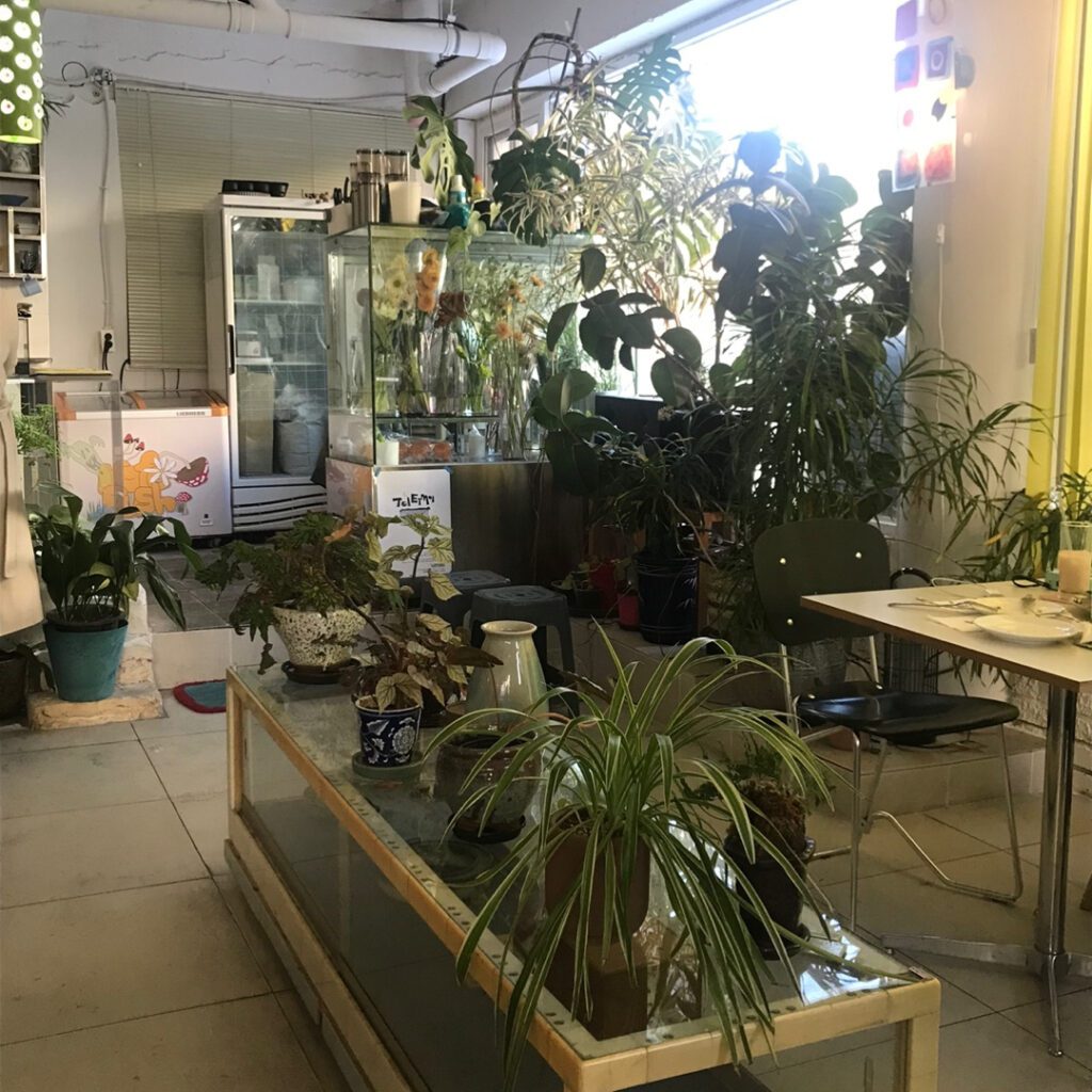 Plant-filled interior of Kofe Bush Cafe in Daejeon