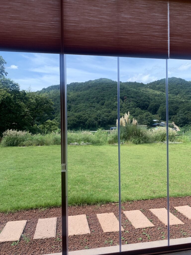 Mountain view from inside SIHAON Ulsan Cafe